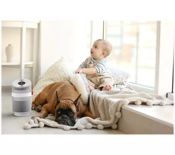 Boneco P230 Air Purifier - Image 5