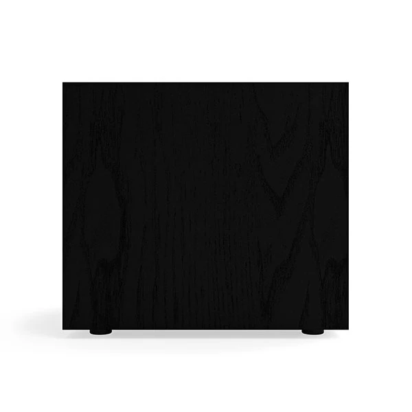 Klipsch R121SW 12 Inch Subwoofer Black - Image 5