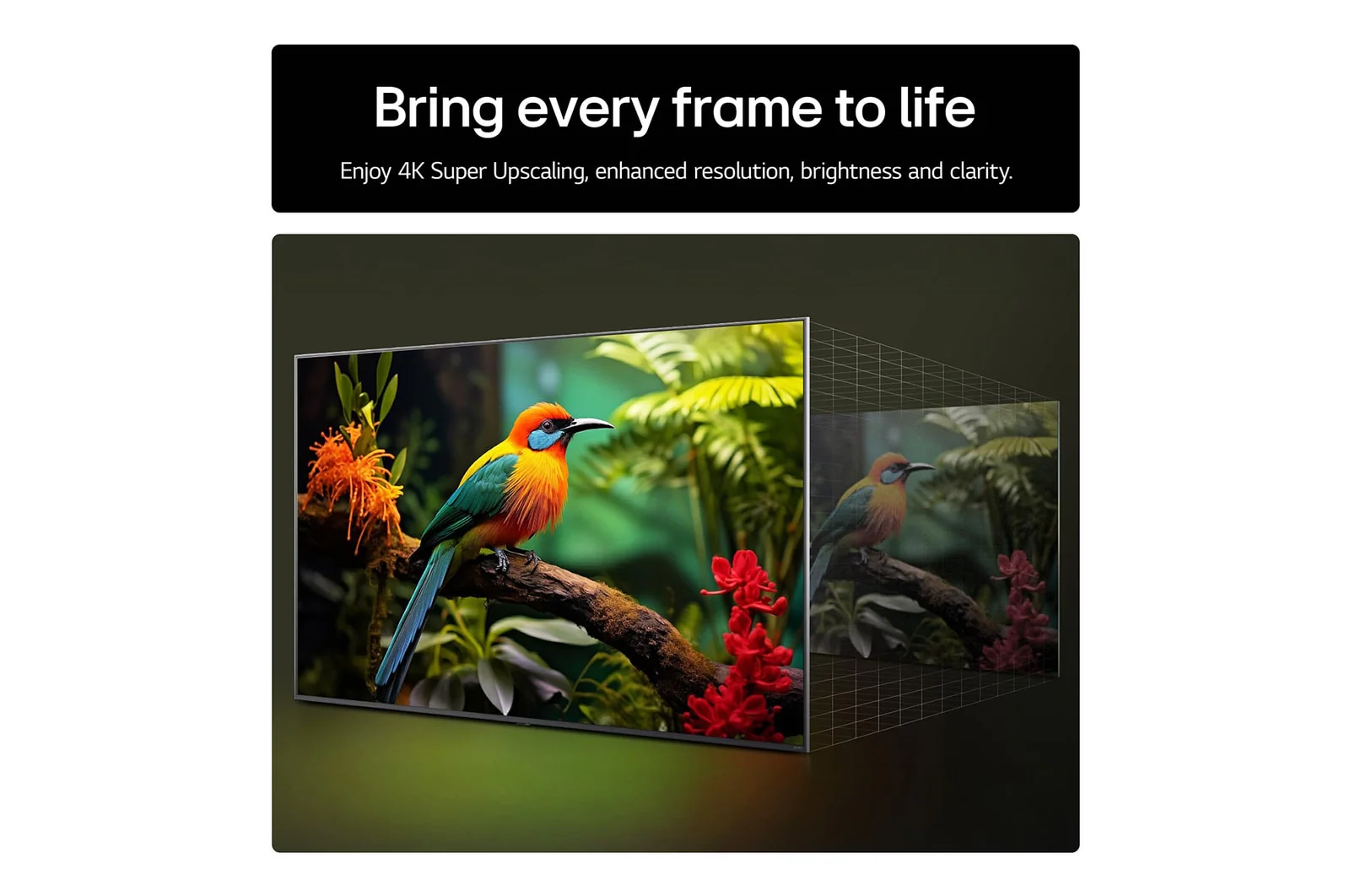 LG 55UA74006LB 55 Inch AI ThinQ UA74 4K UHD HDR Smart TV - Image 7