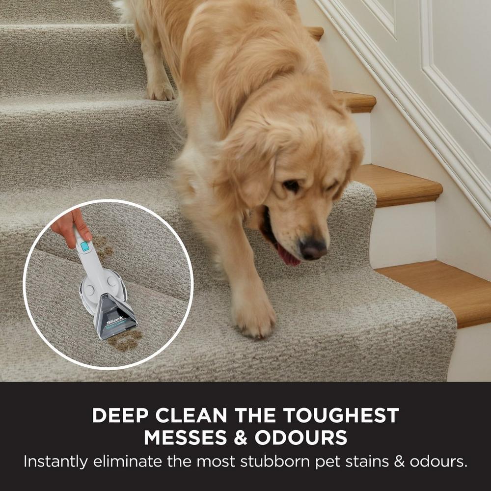 Shark EX200UK CarpetXpert Deep Carpet Cleaner with Built-In StainStriker - White - Image 9