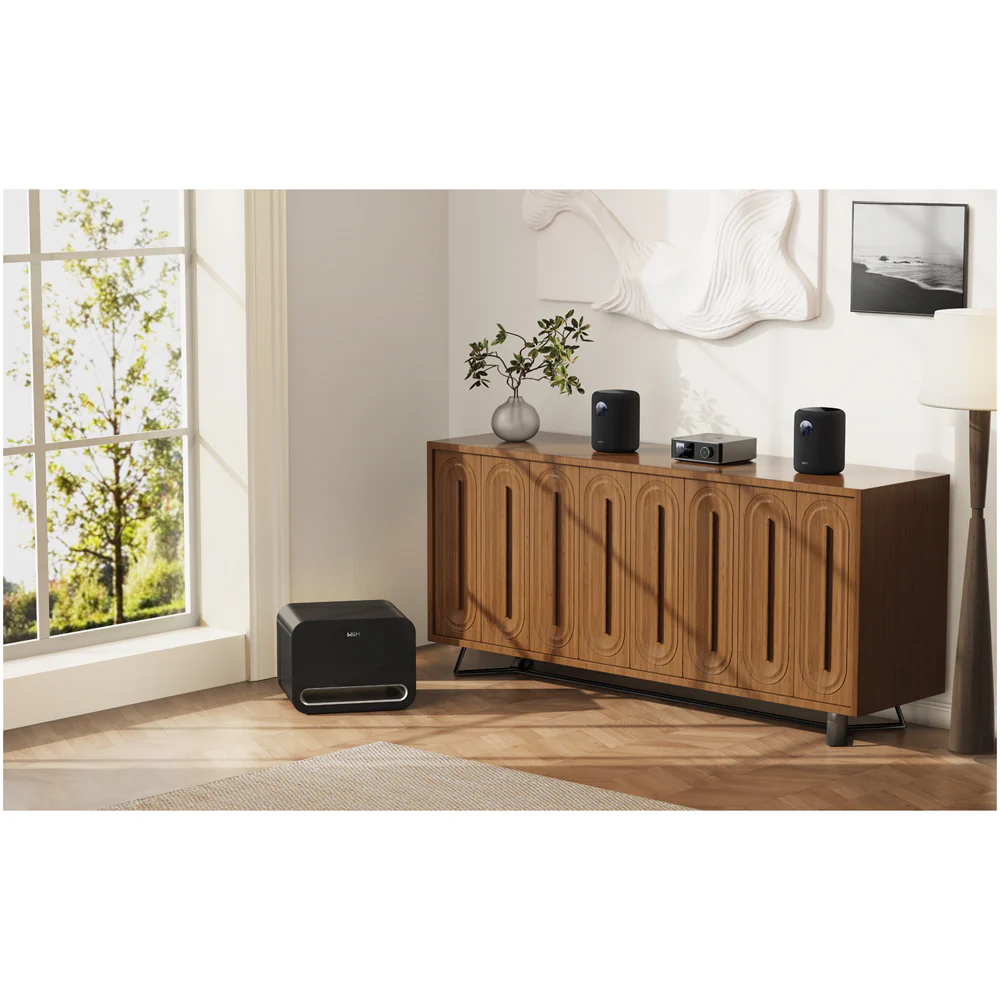 WiiM SOUND Wireless Multiroom Smart Speaker with Display - Black - Image 14
